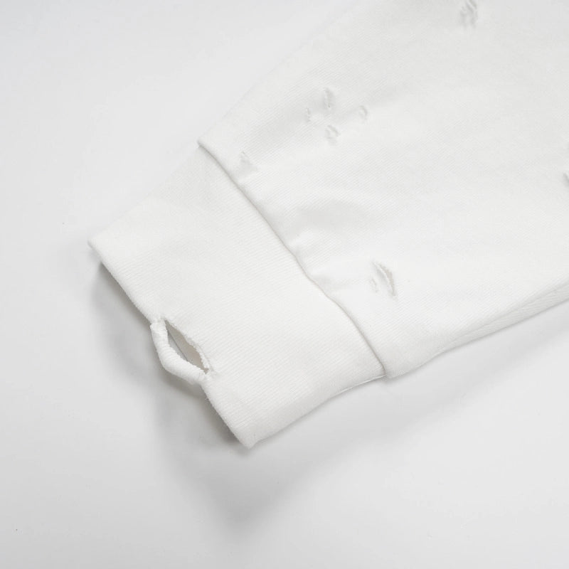 Bande Chaos détruite L/S-814