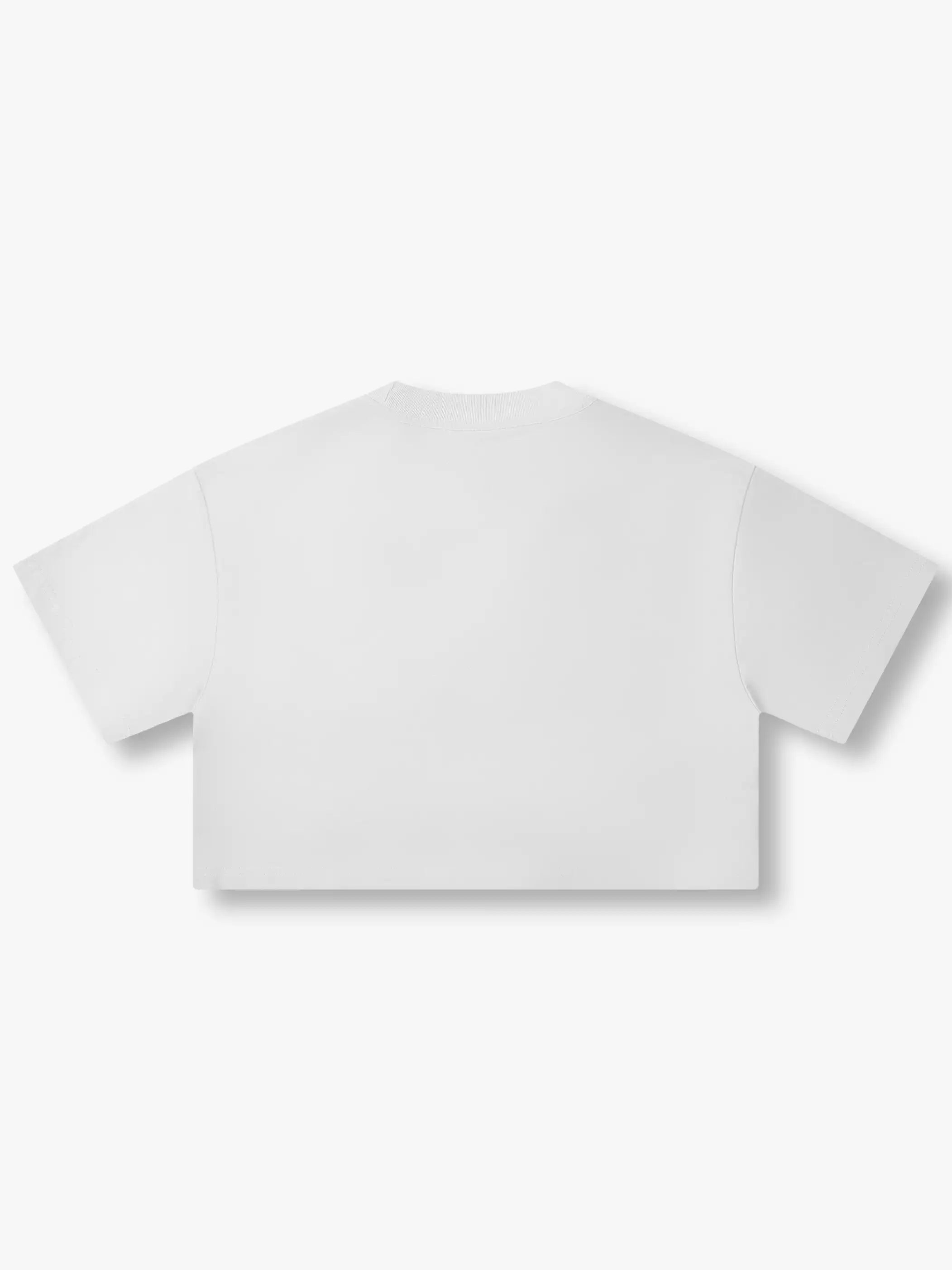 Shiny 22 Iridescent Graphic Tee-286