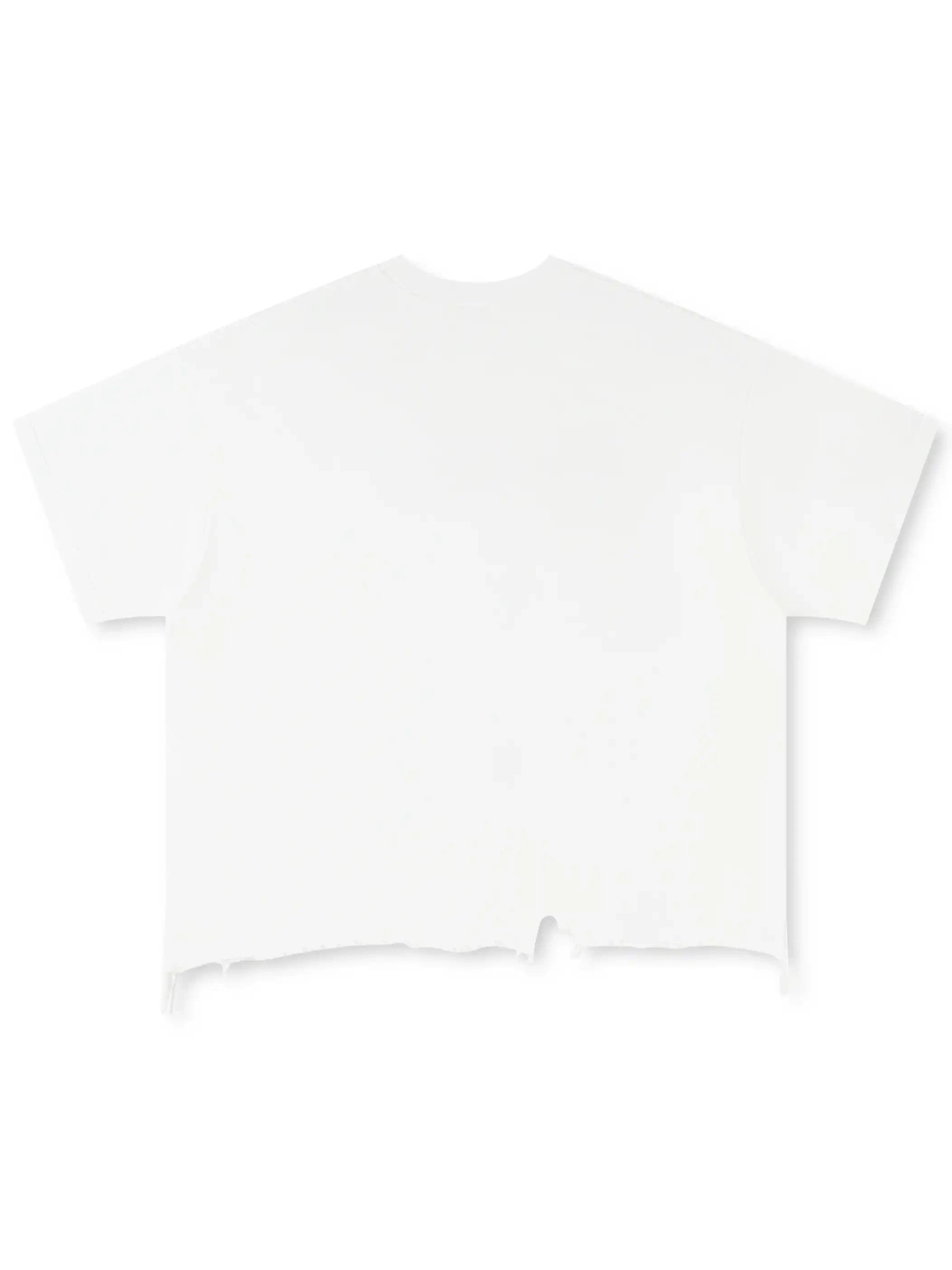 Iced Rage Distressed Tee-460